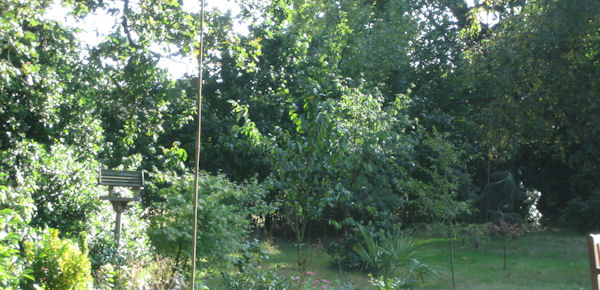 Sutton Hoo Hideaway - Garden